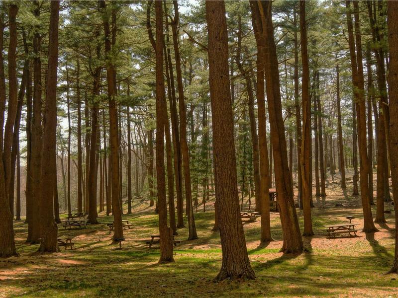 sudoku number placement screenshot 4